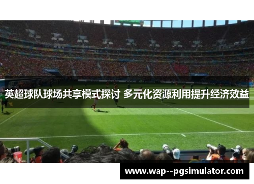 英超球队球场共享模式探讨 多元化资源利用提升经济效益