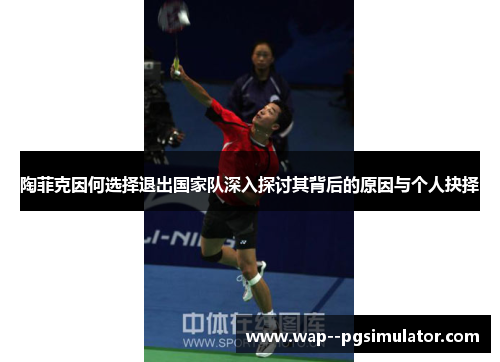 陶菲克因何选择退出国家队深入探讨其背后的原因与个人抉择